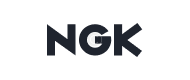 client 3.1 copyright